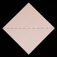 IMG_4250a (1024x1024)