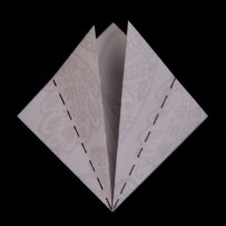 IMG_4260a (1024x1024)