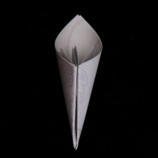 IMG_4278a (1024x1024)